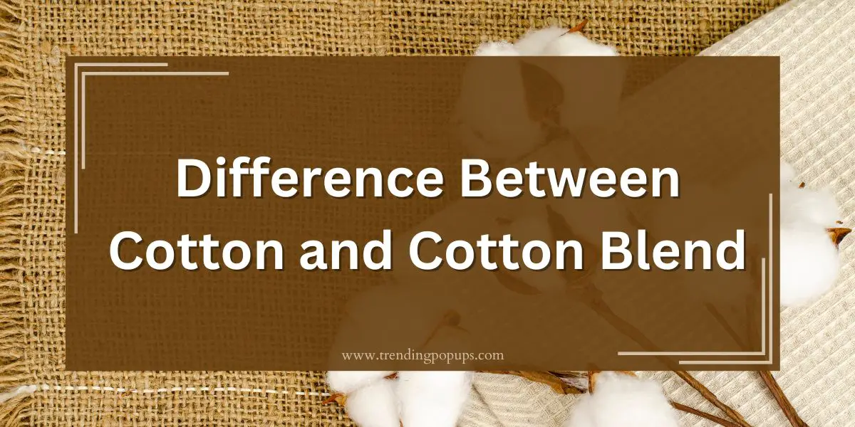 Understand the Difference Between Cotton and Cotton Blend