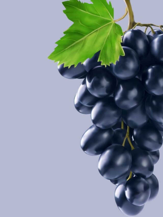 Top 10 Unknown Facts About Black Grapes