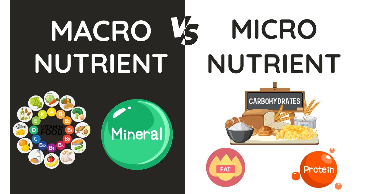 Difference Between Macro and Micro Nutrients: A Complete Guide