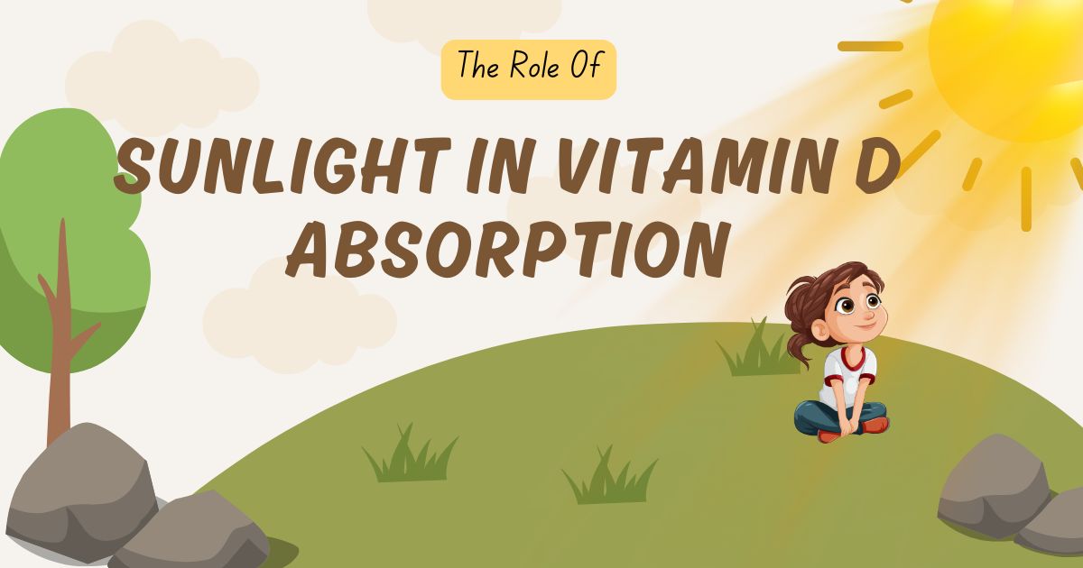 The Role of Sunlight in Vitamin D Absorption