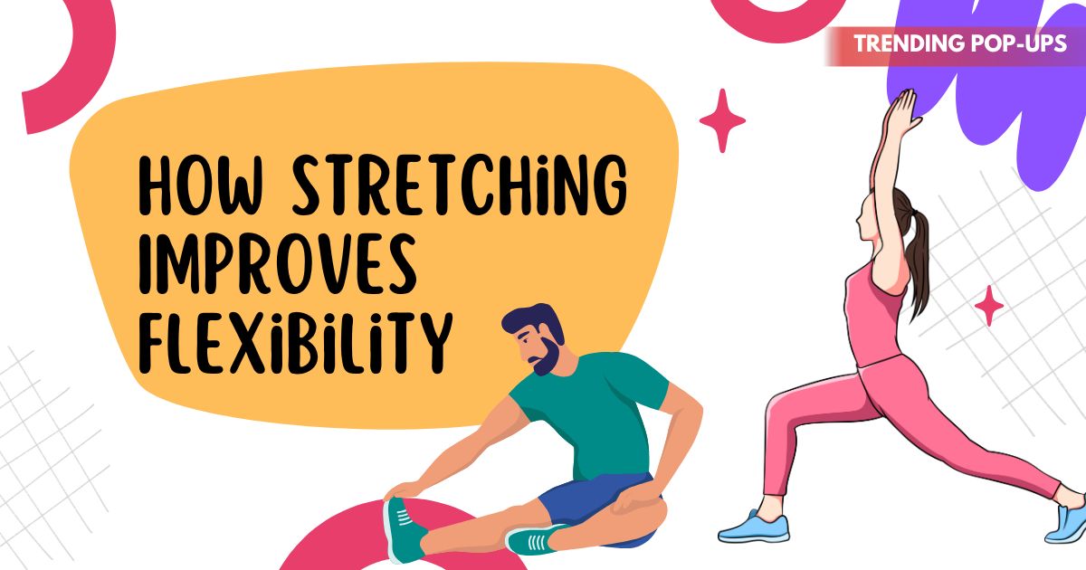 How Stretching Improves Flexibility