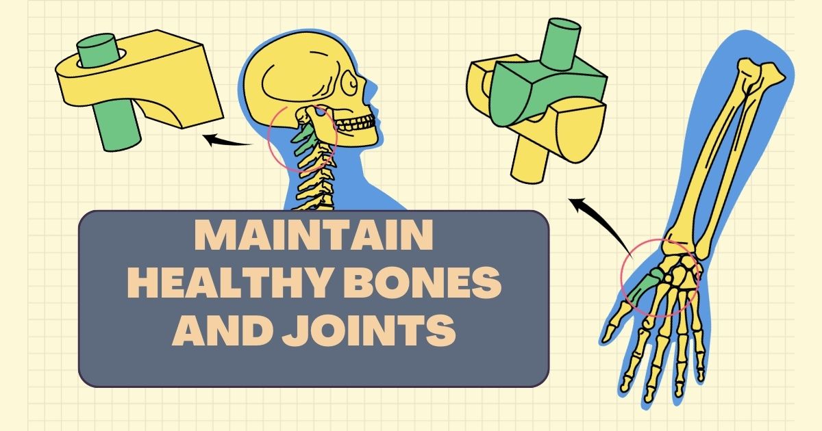 How to Maintain Healthy Bones and Joints – Best Diet, Lifestyle & Tips